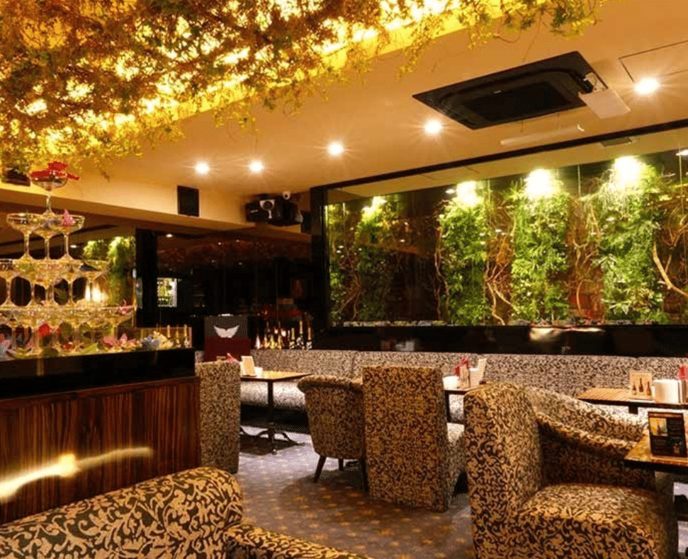 店内 1